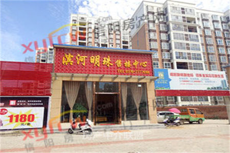 宝龙庄园E区3室2厅1卫100㎡带车库